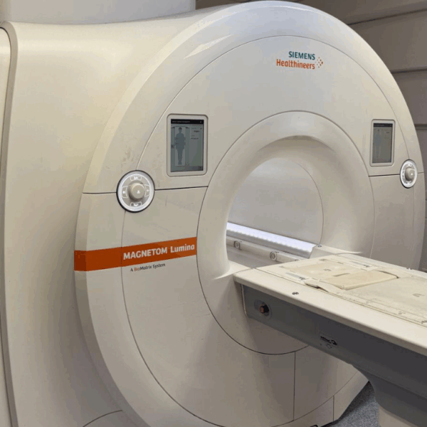 Siemens Lumina 3T - 2019