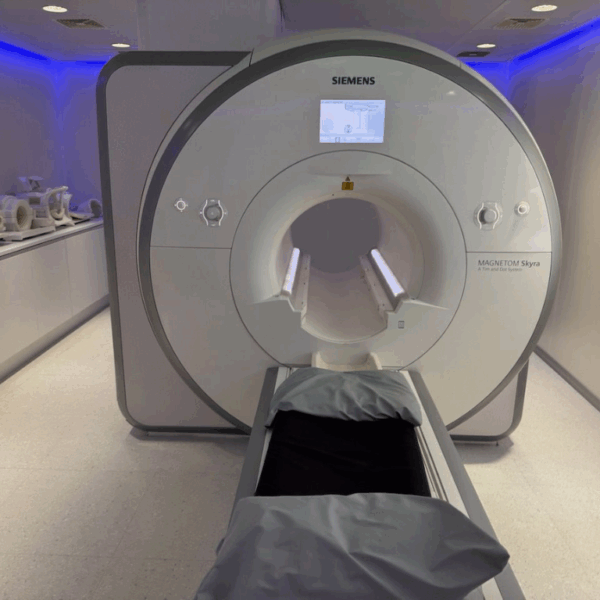 Siemen Skyra 3T - 2016