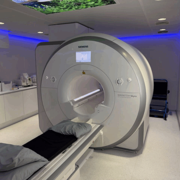 Siemen Skyra 3T - 2016