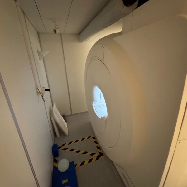 Siemens Amira 1.5T - 2015