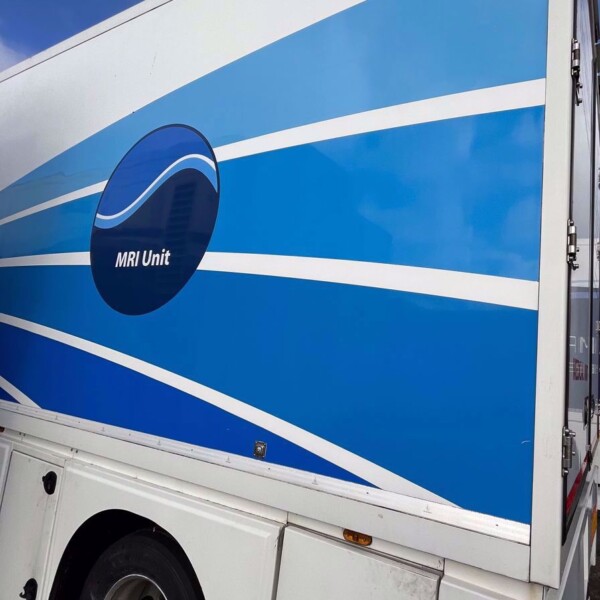 Lamboo Empty Trailer