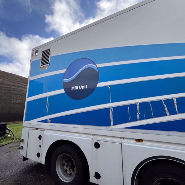 Lamboo Empty Trailer