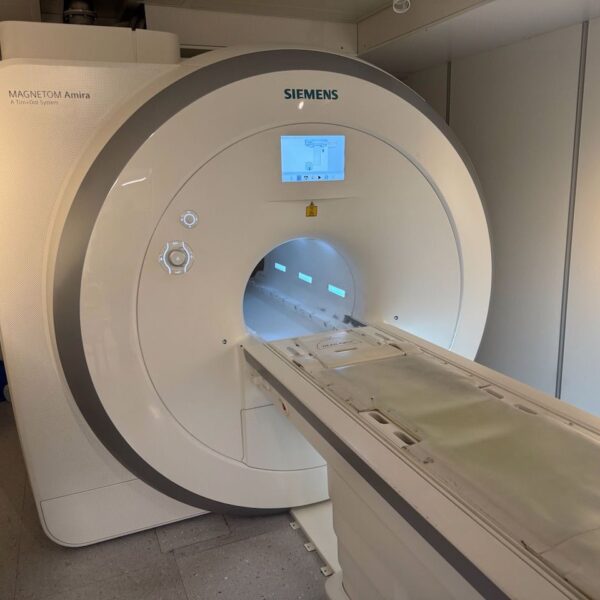 Amira 1.5T Siemens 2015